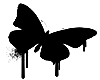 Black Butterfly