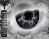 [O] SiLvEr~EyEs