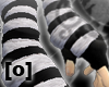 [O] DoM