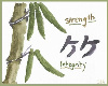 Bamboo