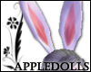 *A Bunny Ears *anim*