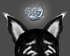 Cagon Ears - Negative