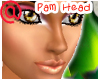 PP~Pam Head