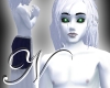 ~N~ The Ice Wizard