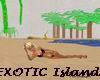 EXOTIC Island
