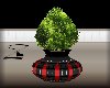 Z Solarium Tree BR
