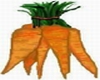 Carrot T-shirt, Female