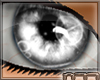 [n77] Eyes Glass