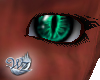 Cagon Eyes Aqua