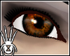 Oak Eyes