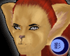 Lioness Tail