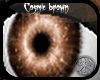 SR Cosmic Brown eyes