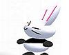 postal bunny