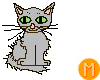-MR- Gray Kitten