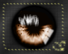[H] Soft Brown Eyes F