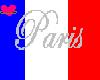 Paris Flag
