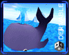 [ACS] MIRACULOUS WHALE