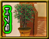 H79 Marrakech Plant 2