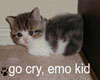 emo kitty