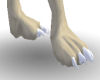 Foxtrot Feet White Claws