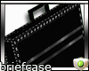 Vintage Briefcase