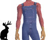 Product Image for Bib Overalls r/sweater