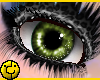 [ Toxic Eyes