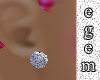 Snow Belle ~ Ear Studs