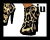 leopard, short and sweet