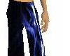 Blue Lines Pant