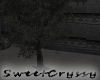 Product Image for Dark Tree I