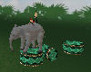 QnS Elephantw/sound