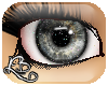 [L] Grey i-Clear