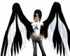 Black & White Wings
