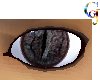 Male Gecko Eyes