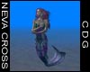 NC Mermaid 12