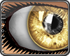*L� iGlass Golden