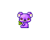 Purple Koala Bear