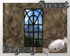 Mountain View Window