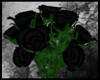 [xS9x] Black Dozen