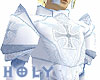 Holy Paladin Armor