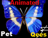 Butterfly Pet Animated +