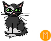 -MR- Spotted Kitten