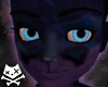 Midnight Cat Tail