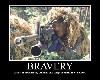 Military Sniper Bravery