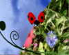 The Land of Lilliput