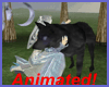 )o( Dark Wolf Water Eyes
