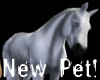 CC - Horse (Pet)