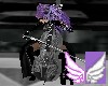 EDEN Gothic Cello