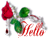 gift